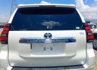 2019 Toyota Land Cruiser Prado TX