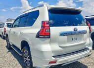 2019 Toyota Land Cruiser Prado TX