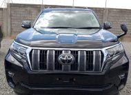 2019 Toyota Land Cruiser Prado TX