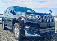 2019 Toyota Land Cruiser Prado TX-L