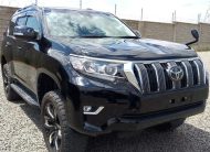 2019 Toyota Land Cruiser Prado TX