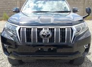 2019 Toyota Land Cruiser Prado TX