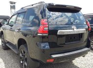 2019 Toyota Land Cruiser Prado TX