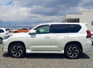 2019 Toyota Land Cruiser Prado TX