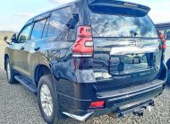 2019 Toyota Land Cruiser Prado TX