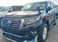 2019 Toyota Land Cruiser Prado TX