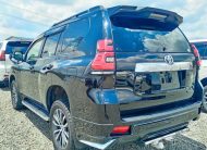 2019 Toyota Land Cruiser Prado TZ-G