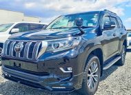 2019 Toyota Land Cruiser Prado TZ-G