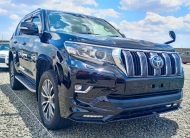 2019 Toyota Land Cruiser Prado TZ-G