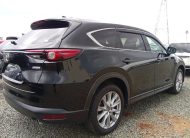 2018 Mazda CX-8