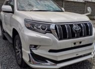2019 Toyota Land Cruiser Prado TX